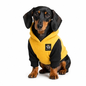 Soft <b>Dog</b> <b>Hoodies</b> Offering Warmth Comfort Breathable Fabric And Modern Style Perfect For Daily Wear Travel Walks And Outdoor Fun - Product Image 1