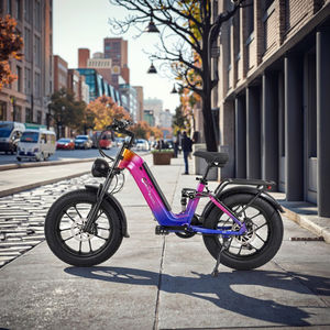 Vélo électrique 750W personnalisable OEM OED V20 en alliage d'aluminium, pneus larges, 48V 20Ah, 20x4, vélo de banlieue, stock UE - Product Image 2