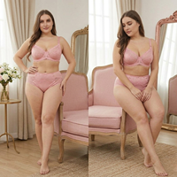 Ensemble soutien-gorge et culotte grande taille pour femme, broderie dentelle, bonnets à armatures, OEM ODM, taille personnalisée, séchage rapide, vente en gros, fournisseur direct d'usine