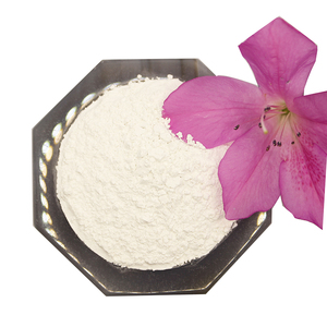 Đất sét Kaolin siêu mịn, cấp mỹ phẩm, dùng cho mặt nạ, kem nền, phấn phủ & công thức kem đánh răng - Product Image 2