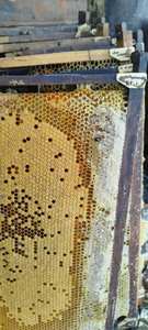 MIEL NATUREL PUR – BRUT ET NON TRAITE – ORIGINE VIETNAM - Product Image 3