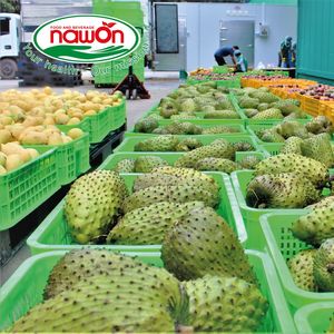 Fournisseur chaud NAWON Vietnam 100% boisson au jus de fruits bouteille PET de 500ML échantillon gratuit produit OEM ODM boisson gazeuse de meilleure qualité - Product Image 5