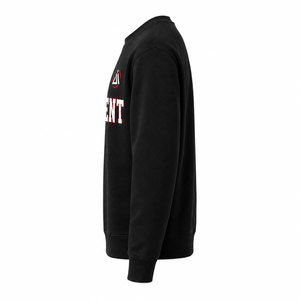 High Quality Heavyweight Fleece <b>Crewneck</b> Sweatshirt Custom Varsity Letter Embroidery OEM Wholesale - Product Image 2