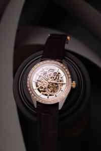 Alexander Ferros 9261D-02 Men's Automatic <b>Mechanical</b> <b>Watch</b> Stainless Steel Case Sapphire Crystal Analog Leather Strap 5BAR Water - Product Image 5