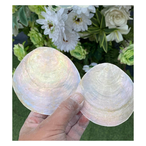 Lustre suspendu circulaire moderne de luxe en coquille de Capiz faite à la main, double trou, irisé, naturel, pour la décoration de la maison - Product Image 5