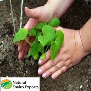 Poudre de gâteau de neem biologique fabriquée en Inde à libération lente pour l'enrichissement des racines des plantes - Product Image 2