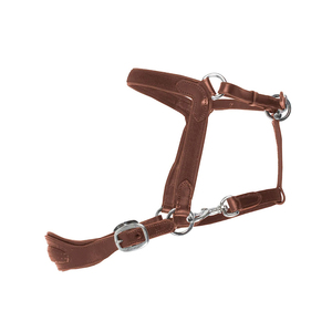 Longe de cheval durable en coton tressé doux avec mousqueton métallique sécurisé pour l'équitation quotidienne, l'entraînement, le toilettage et les soins du cheval - Product Image 1