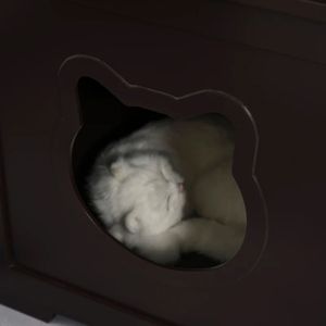Lettiera Intelligente per Gatti in Stile Legno Marrone, Ampio Spazio Interno, Facile da Pulire, Toilette per Gatti, Comodino di Lusso, Tavolino Realizzato in PP PC, Taglia XXL - Product Image 2