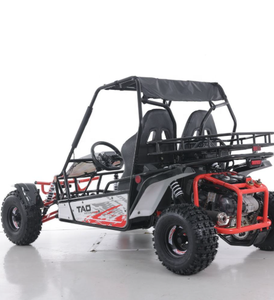 Go Kart Todoterreno Tao Motor de 200cc con Arranque Eléctrico - Product Image 4