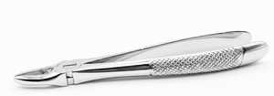 Forceps d'extraction dentaire pour racine supérieure, à bec étroit, pointe dentelée, manche texturé, en acier inoxydable - Product Image 3