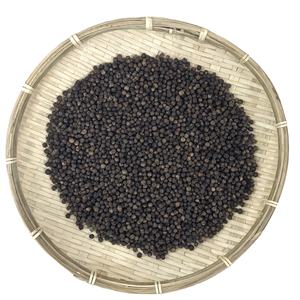 WS + 84 359 166 896 Best Seller 100% Pimienta negra natural Hierba seca Origen de Vietnam Glmc Spice Raw 500/550/570/580 Precio" - Product Image 1