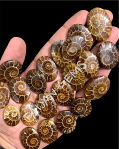 พลอยแอมโมไนต์ธรรมชาติอัญมณีอัญมณีทรงหลวมขัดเงาทุกขนาดเครื่องประดับคริสตัลทำให้บุคคลที่สามไม่ได้รับการรับรอง - Product Image 2