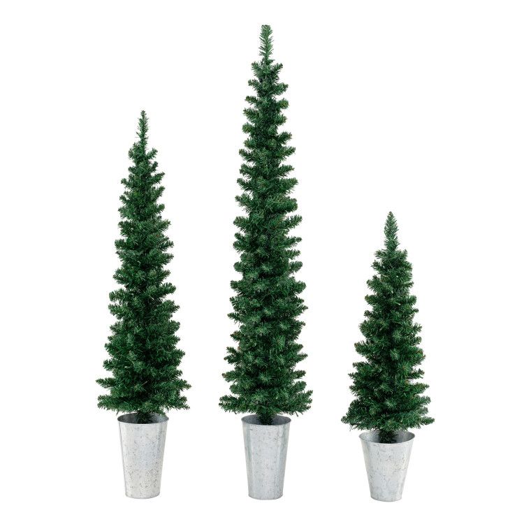 as show Color