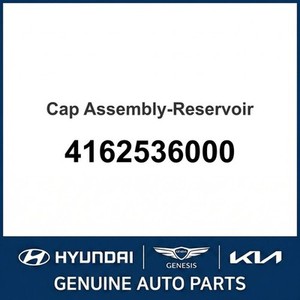 Accesorios Nuevos para Autos y Camionetas 4162536000 - Product Image 1