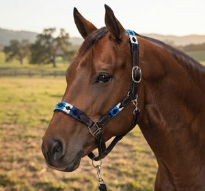Licol en cuir pour cheval, style western, durable, confortable, bleu, blanc, noir, motif géométrique, ferrures argentées, taille Full/Cob - Product Image 3