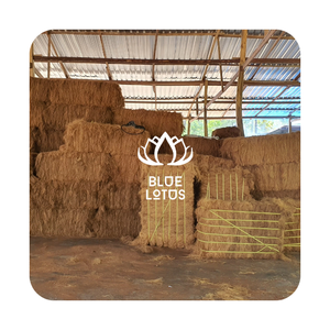 สินค้าขายดี ใยมะพร้าวเกรดพรีเมียม คุณภาพสูง เป็นมิตรต่อสิ่งแวดล้อม วัสดุจากเปลือกมะพร้าว สำหรับบรรจุภัณฑ์ ขายส่ง - Product Image 1