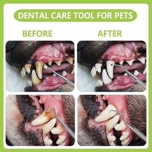 Dental <b>Tools</b> Pet Dog <b>Teeth</b> Cleaner <b>Tool</b> Kit, Stainless Steel Plaque Remover Dental Picks <b>Tooth</b> Tartar Scraper Pet Care - Product Image 5
