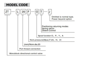 Xe nâng ZT-L20-OT 5 cuộn thủy lực monoblock đôi diễn xuất van điều khiển mạch song song - Product Image 5