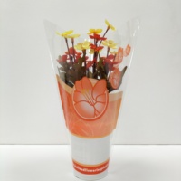 Manchon pour fleurs transparent, imperméable, vierge, biodégradable, non toxique, haute transparence, de qualité alimentaire, à fermeture hermétique, personnalisable avec trous d'aération