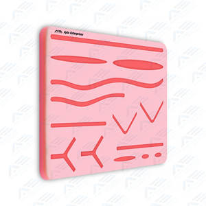 Kit de práctica de Sture para estudiantes de medicina, veterinarios, enfermeras, almohadilla de sutura de piel de silicona, instrumentos médicos quirúrgicos - Product Image 2