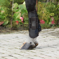 Protège-tendons de cheval en acier inoxydable et nylon, amortissants, avec coussinet de protection renforcé et fermeture ajustable pour la protection des tendons du cheval
