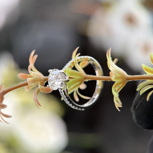 14K White Gold 2.50 Carat Round Brilliant IGI Certified Diamond Solitaire Engagement Ring Pave Band D Color and VVS2 Clarity - Product Image 3