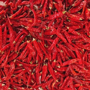 Premium Grade 334 S4 <b>S10</b> Sannam Guntur Dry Red Chilli Whole Medium Heat Natural Elongated Spice 24 Months Shelf Life for Cooking - Product Image 2