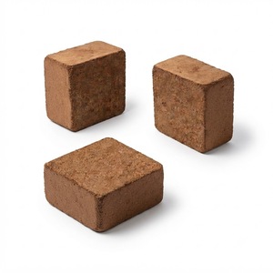 Bloc de tourbe de coco 5 kg avec un EC inférieur à 0,5, pH 5,5-6,8 pour la propagation des semis et les pépinières - Product Image 5