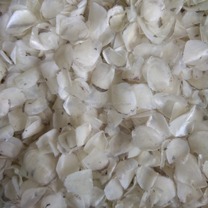 Escamas de Pescado Secas Grandes (Tilapia, Barramundi) para Uso Industrial |   Precio competitivo para pedidos al por mayor - Product Image 3