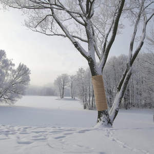 Enveloppes de protection pour arbres en toile de jute 100 % naturelle, 7,8 po x 39,4 pi, écologiques, protection contre les gelées hivernales, couvre-corps d'arbre - Product Image 6