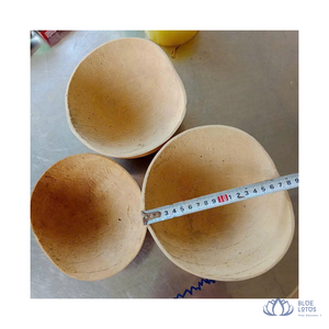 [MEJOR CALIFICADO] |   Tazón de calabaza ecológico, tazón de calabaza seca para uso culinario, vajilla, plato para servir de Vietnam - Product Image 1