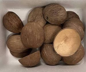 Coquille de noix de coco naturelle du Vietnam pour charbon de bois et usage industriel, marque Vdelta, origine Ben Tre, longue durée de conservation - Product Image 5