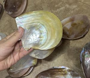 Polished Mother of Pearl Plate Vietnam Natural Shell Material for Jewelry Tray Serving Decor Table Use Handmade - Product Image 2