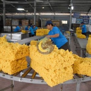 Cao su tự nhiên cao cấp SVR3L nguyên liệu thô dùng làm dây thun, đế giày, băng dính - độ bền cao, màu vàng nhạt NGOC - Product Image 5