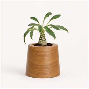Macetero Artesanal de Madera de Teca Ecológico, Minimalista, para Interiores/Exteriores, Decoración de Jardín y Hogar, Macetero de Madera Sólida para Escritorio - Product Image 3