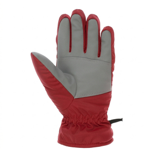Gants de ski à doigts entiers, isolés thermiquement, avec fermeture à cordon, unisexes, pour l'hiver, le ski de descente, en polyester, bleu - Product Image 3
