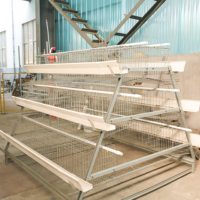 Prix direct d'usine Durable un type cage de poulet de couche équipement de volaille poulailler en acier galvanisé à chaud pour l'Afrique