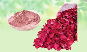 ผงกลีบดอกกุหลาบแห้ง Rosa Gallica ผง Gulab patti Gulab ผงสมุนไพรดิบขายส่ง - Product Image 2