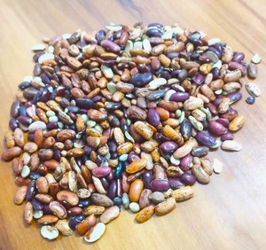 Frijoles Rojos Premium (Rajma) |   Frijoles secos |   Proveedor y Exportador a Granel de la India - Product Image 1