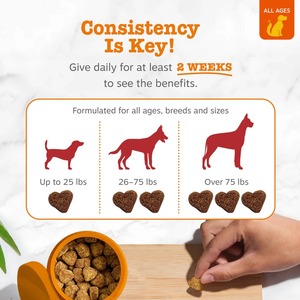 Golosinas Masticables Orgánicas de Arándano y D-Manosa para Perros y Gatos, Apoyo para la Vejiga Urinaria, Salud Inmunológica, Marca Privada OEM ODM, Cuidado de Mascotas - Product Image 4