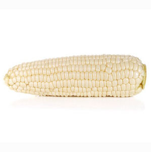 Proveedor de Granos de Maíz Blanco Natural de Estilo Orgánico para la Industria Alimentaria y Compradores Mayoristas - Product Image 4