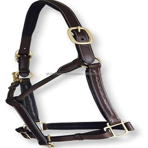 High End English Leather Fancy Stitched Brown Padded Horse <b>Halter</b> for Riding With Brass Hardware Equestrian Horse Show <b>Halter</b> - Product Image 4