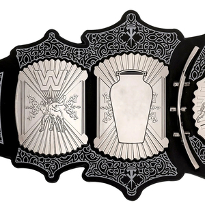 Campeonato Mundial de Peso Pesado TNA, de Alta Calidad, en Latón y Zinc, Personalizado en Cuero, 5 kg, 32 mm de Diámetro, Altamente Transpirable, Unisex - Product Image 5