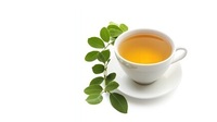 Sachets de thé vert Moringa de la meilleure qualité, mélangés et séchés, emballés dans des boîtes et en vrac directement d'Inde