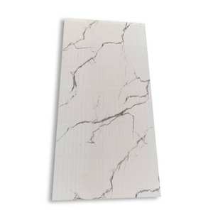 Azulejos de Porcelana Premium de 60x120cm para Pared y Suelo, Formato Grande, Azulejos de Lujo, Acabado Brillante Duradero, Serie Interior Moderna - Product Image 1