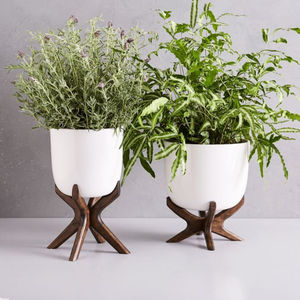 Support élégant en bois pour plantes d'intérieur et d'extérieur, support pour plantes en pot, design en bois naturel, porte-pot de fleurs, décoration intérieure - Product Image 5