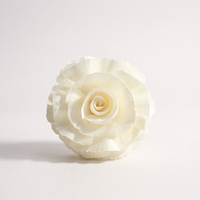 VADEE SOLA WOOD FLOWER Accessoires Durables Aromathérapie Modèle 002 ROSE Lot de Rechange Diffuseur à Roseaux Séchés Fait Main