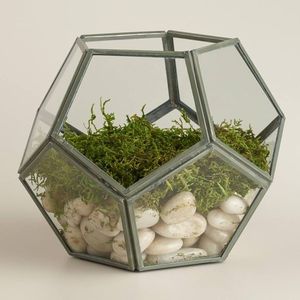 Large Glass Globe <b>Terrarium</b> <b>Kit</b>, Home and Living, Beach <b>Terrarium</b> wholesale geometric Desktop Sphere - Product Image 1