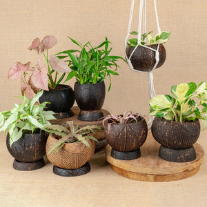 Macetas de cáscara de coco hechas a mano para decoración del jardín, al precio más bajo, macetas naturales para orquídeas y cactus. - Product Image 1