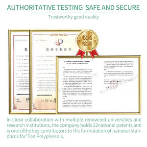 ผงชาเขียวบริสุทธิ์20% L-theanine สำหรับการสนับสนุนความรู้ความเข้าใจ - Product Image 2